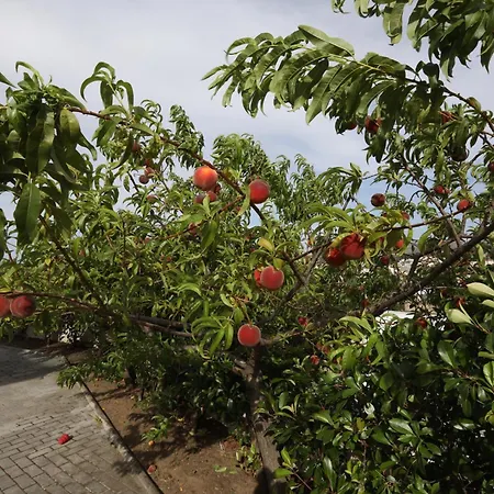 Casa Do Pessegueiro * מירנדלה
